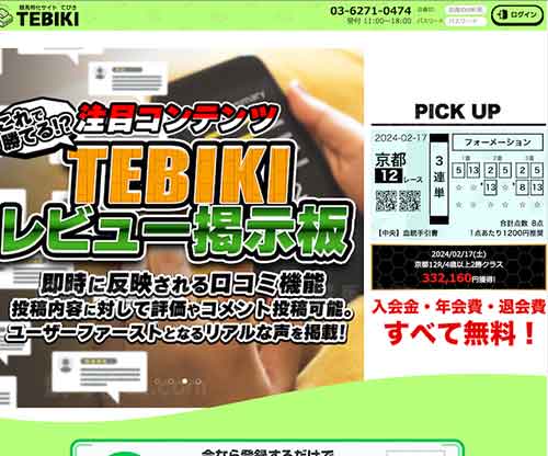 TEBIKI（テビキ）という競馬予想サイトの画像