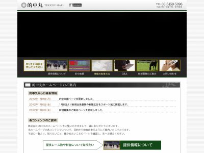 的中丸 (競馬サイト)という競馬予想サイトの画像