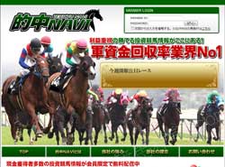 的中NAVIという競馬予想サイトの画像