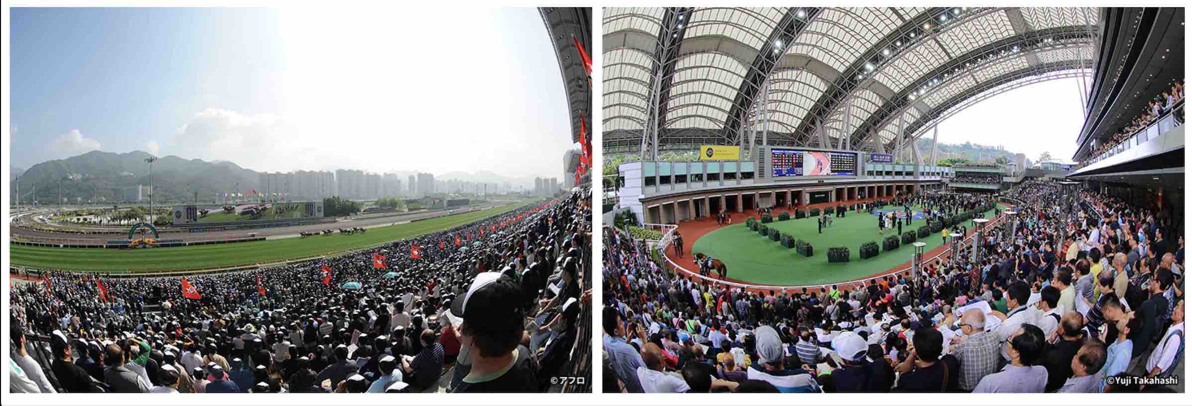 コロナウィルスの影響で香港競馬はどうなる？