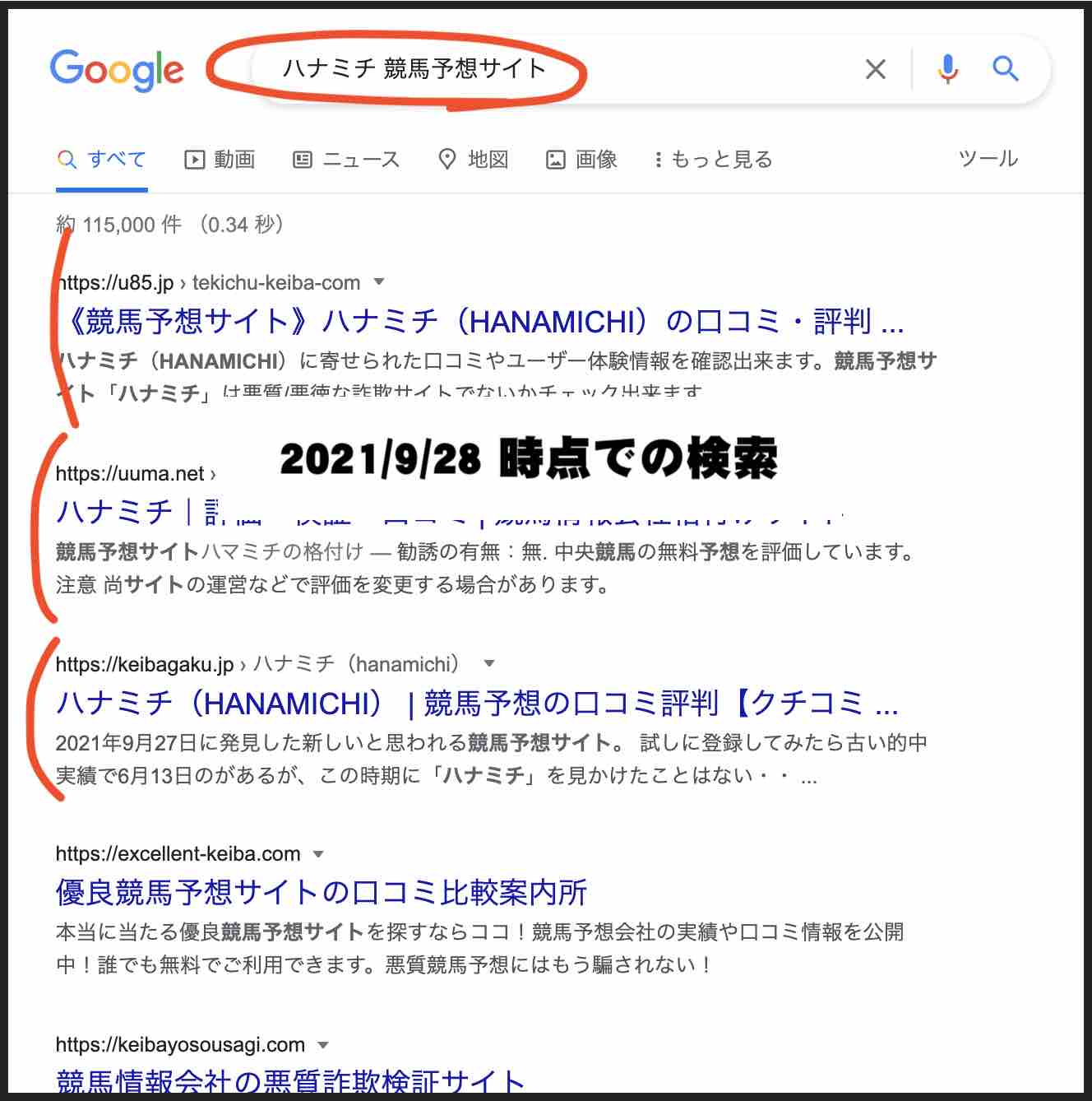 HANAMICHI(ハナミチ)という競馬予想サイトの情報検索
